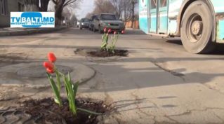 Организация» Я- Бельчанин» провела акцию:» В ямах на дорогах будут расти цветы».
