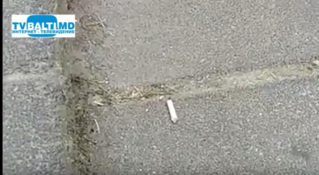 Муравей и окурок.No comment…