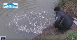 Pescuit ilegal în apele de frontieră
