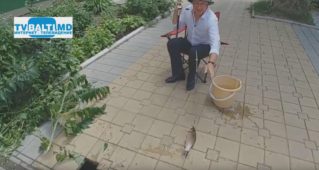 Рыбалка в центре Кишинёва…No comment…