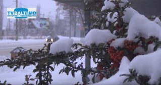 В ближайшие дни в Молдове ожидаются снегопады
