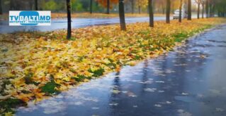 В Молдове местами возможны дожди 12 октября