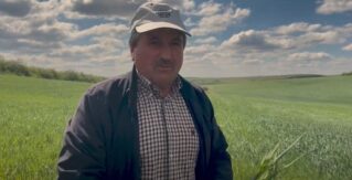 Moldova este în prag de secetă. Zeci de hectare din sud-estul Moldovei sunt deja afectate