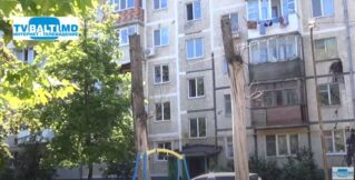 Жильцы дома по бульвару Еминеску 7 и 9 не довольны обрезкой деревьев